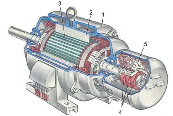 Двигатель с фазным ротором в разрезе
