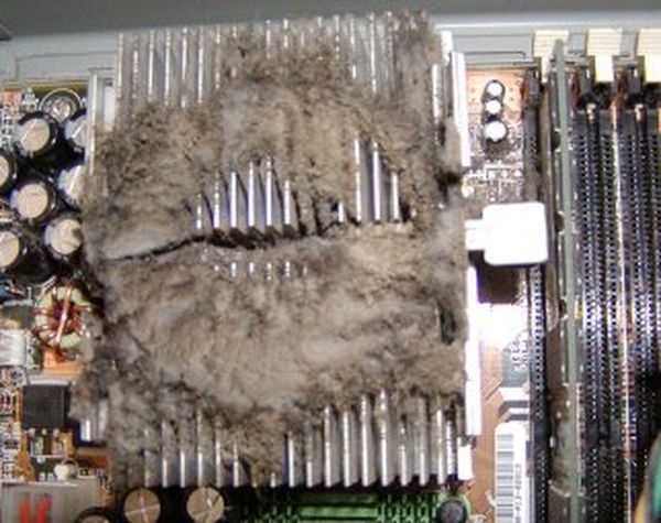 Радиатор процессора не чищенный несколько лет